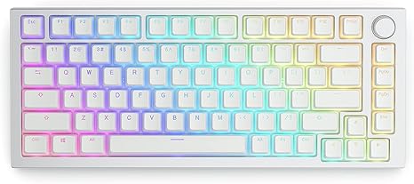 Glorious Aura V2 PBT Pudding Keycaps for Mechanical Keyboards - Black GLO-KC-AURA2-W - Desert Games