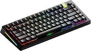 Glorious GMMK 3 PRO HE 65 Black Prebuilt Wireless Keyboard - Black GMMK3-PRO-65-PB-HE-WL-BLK-US